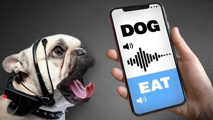 Illustration of a smartphone app interface for canine translation showing recording and translation features